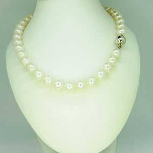 Fehér édesvizi nagyszemű gyöngysor - V-Pearl